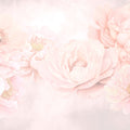 Transcendent Peony, Blush Pink Mural Wallpaper - pure wallpaper artwork