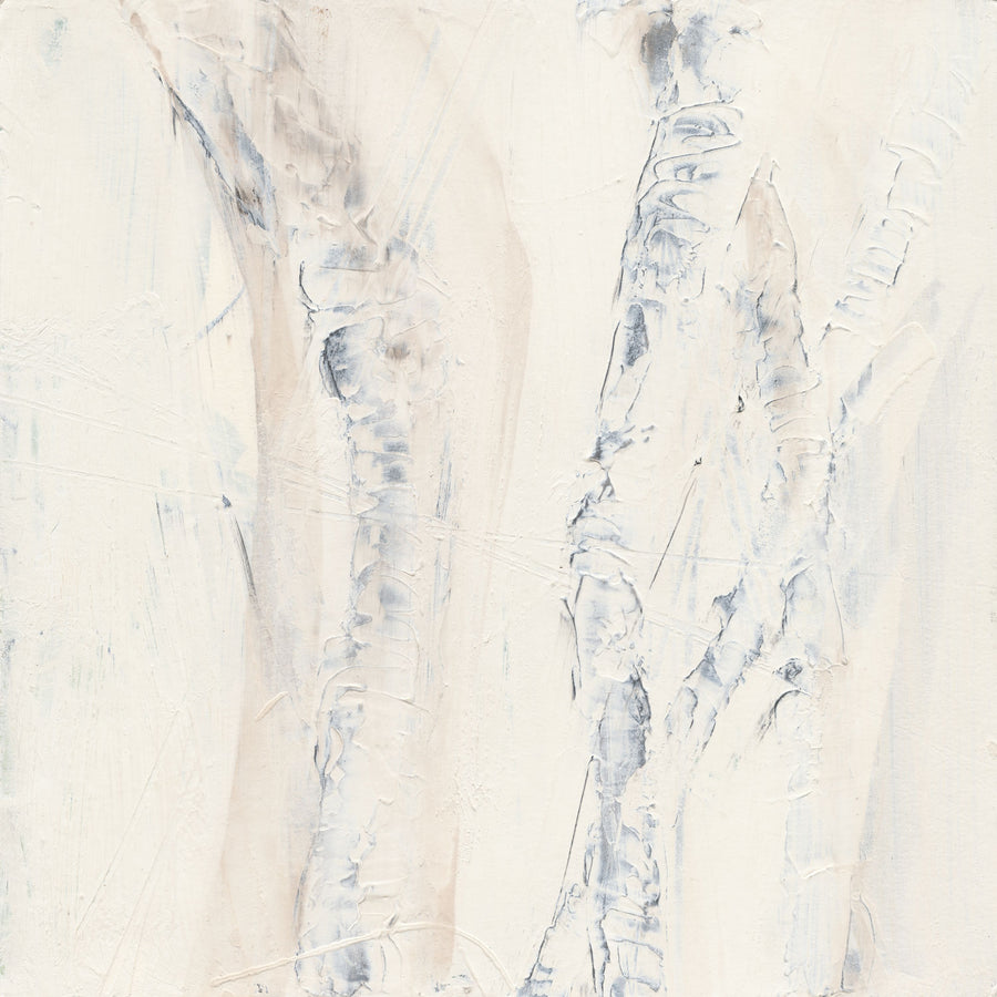 Birch Dreams Mural Wallpaper