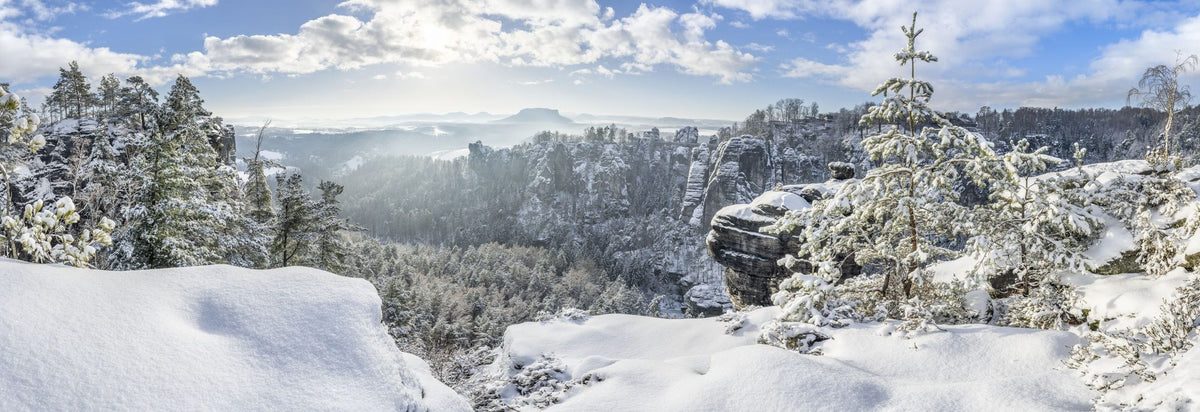 Swiss Winter Panorama Mural Wallpaper - pure wallpaper artwork