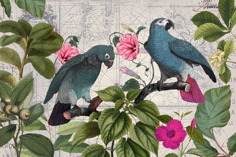 Parrots Nostalgic Journey Mural Wallpaper