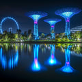 Gardens by the Bay Mural Wallpaper - pure wallpaper artwork