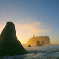 Sea Stacks in Pacific Ocean Mural Wallpaper - pure wallpaper artwork