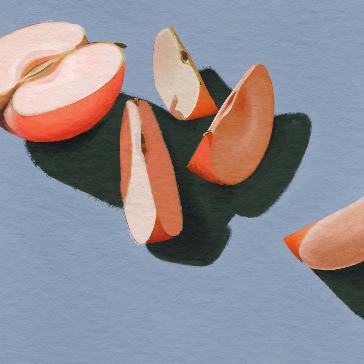Sliced Apples Study Mural Wallpaper - pure wallpaper artwork