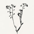Field Journal Entry I Mural Wallpaper - pure wallpaper artwork