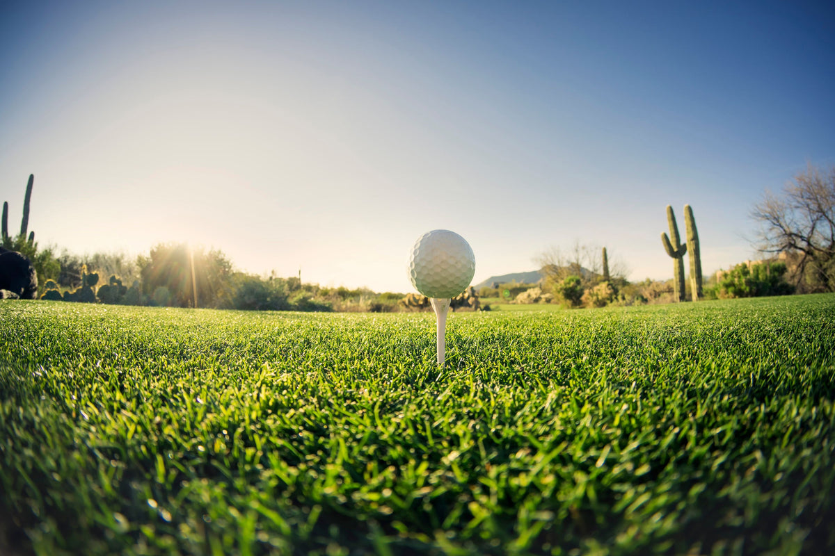 Tee Time Mural Wallpaper - pure wallpaper artwork