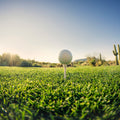 Tee Time Mural Wallpaper - pure wallpaper artwork