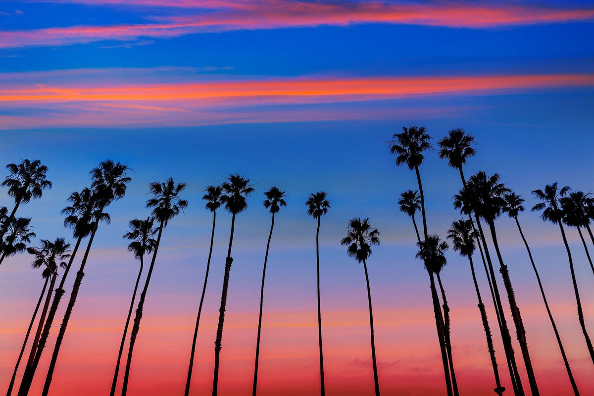 Santa Barbara Sunset IV Mural Wallpaper - pure wallpaper artwork