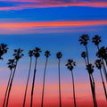 Santa Barbara Sunset IV Mural Wallpaper - pure wallpaper artwork