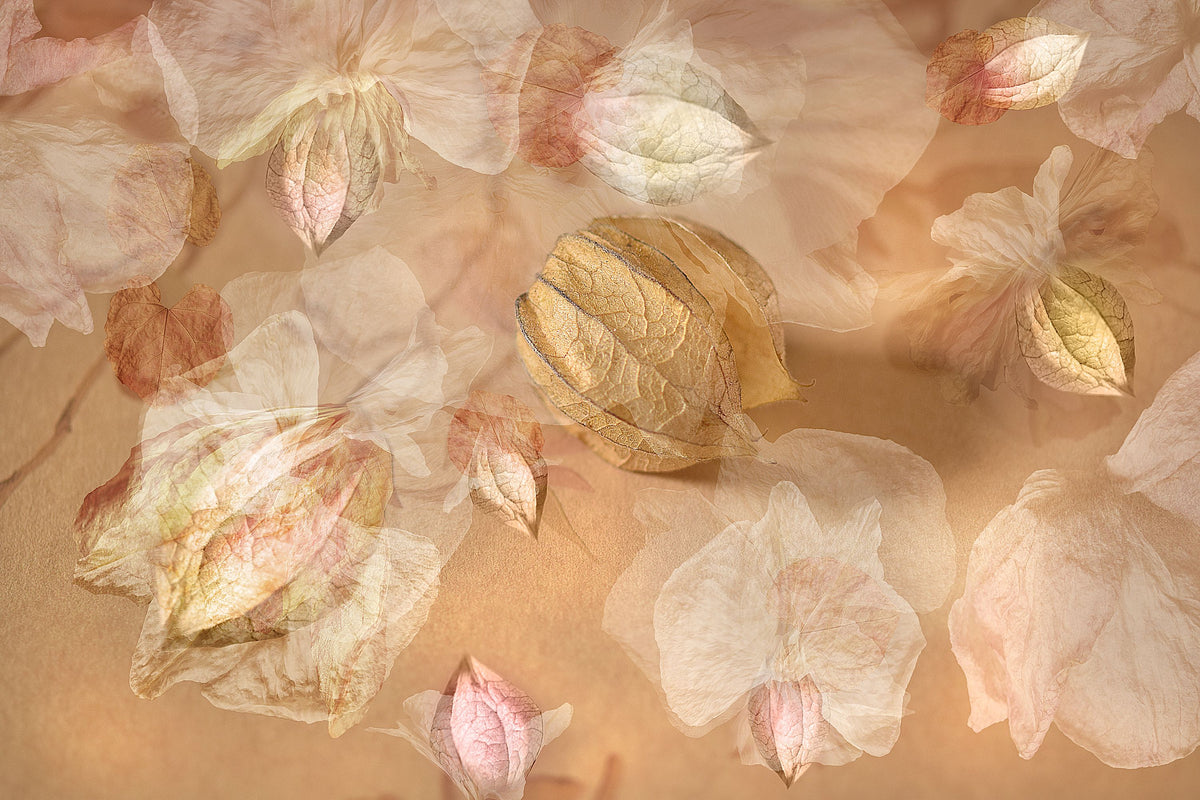 Botanical Fantasy Mural Wallpaper - pure wallpaper artwork