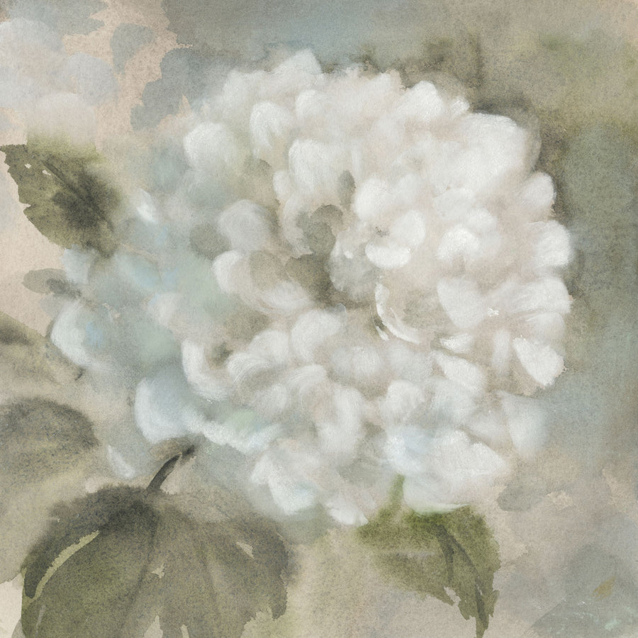 Soft Hydrangea Mural Wallpaper