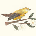 Yellow Paper Bird Mural Wallpaper - pure wallpaper artwork