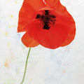 Wonderful Wildflowers VII Mural Wallpaper - pure wallpaper artwork