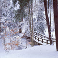 Winter's Passage Snow Mural Wallpaper - pure wallpaper artwork