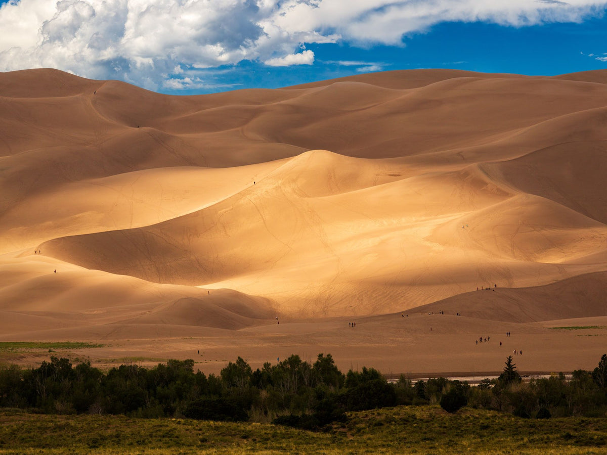 Sunlit Dune Mural Wallpaper - pure wallpaper artwork