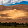 Sunlit Dune Mural Wallpaper - pure wallpaper artwork
