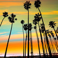 Santa Barbara Sunset III Mural Wallpaper - pure wallpaper artwork