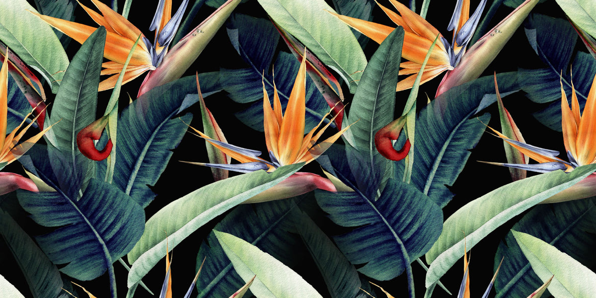 Tropical Blooms Mural Wallpaper - pure wallpaper artwork