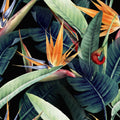 Tropical Blooms Mural Wallpaper - pure wallpaper artwork