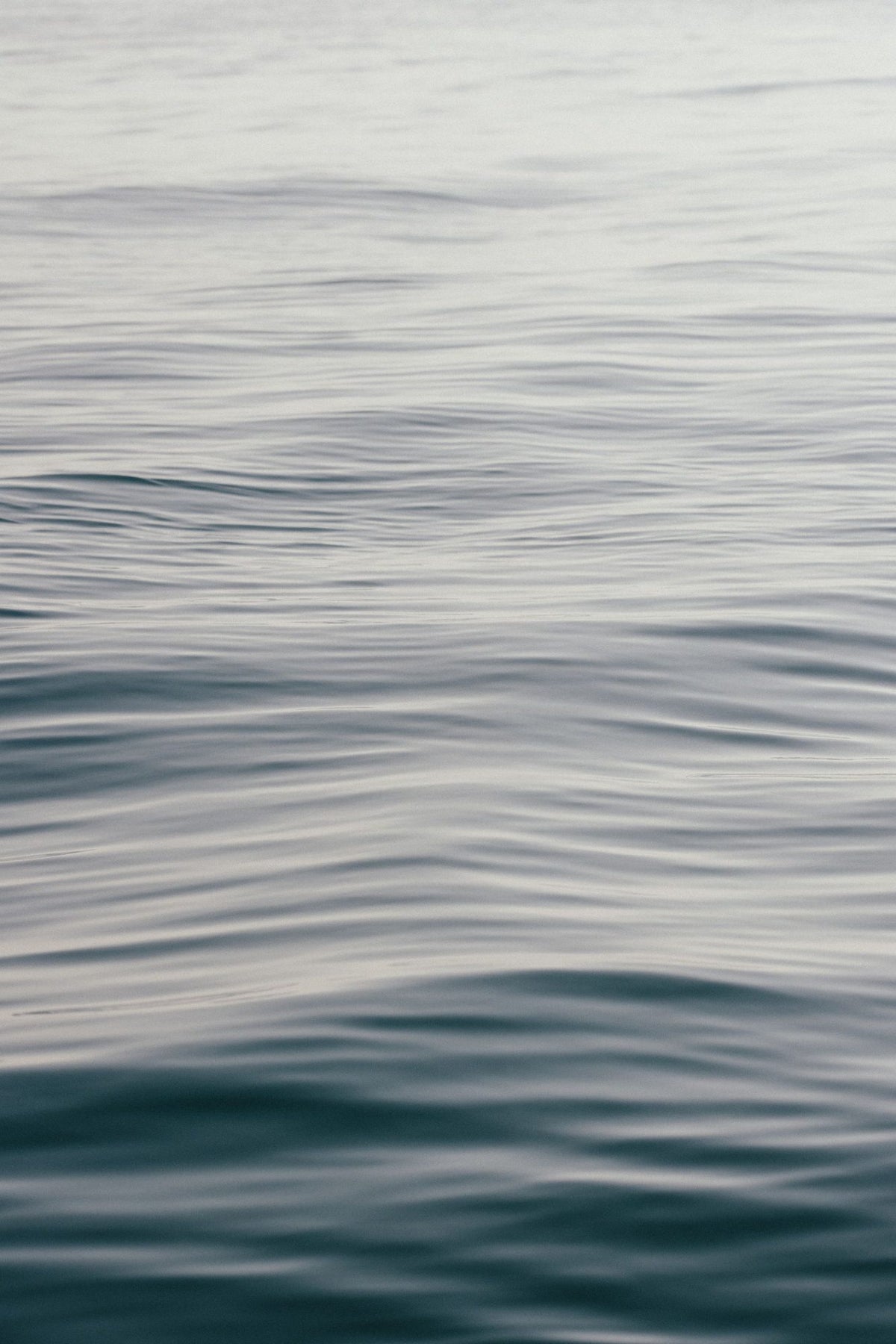 The Silent Sea III Mural Wallpaper - pure wallpaper artwork
