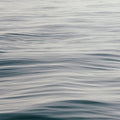 The Silent Sea III Mural Wallpaper - pure wallpaper artwork