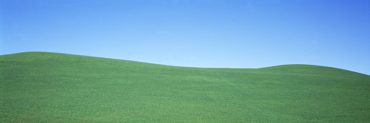 Rolling Horizon Mural Wallpaper - pure wallpaper artwork