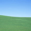 Rolling Horizon Mural Wallpaper - pure wallpaper artwork