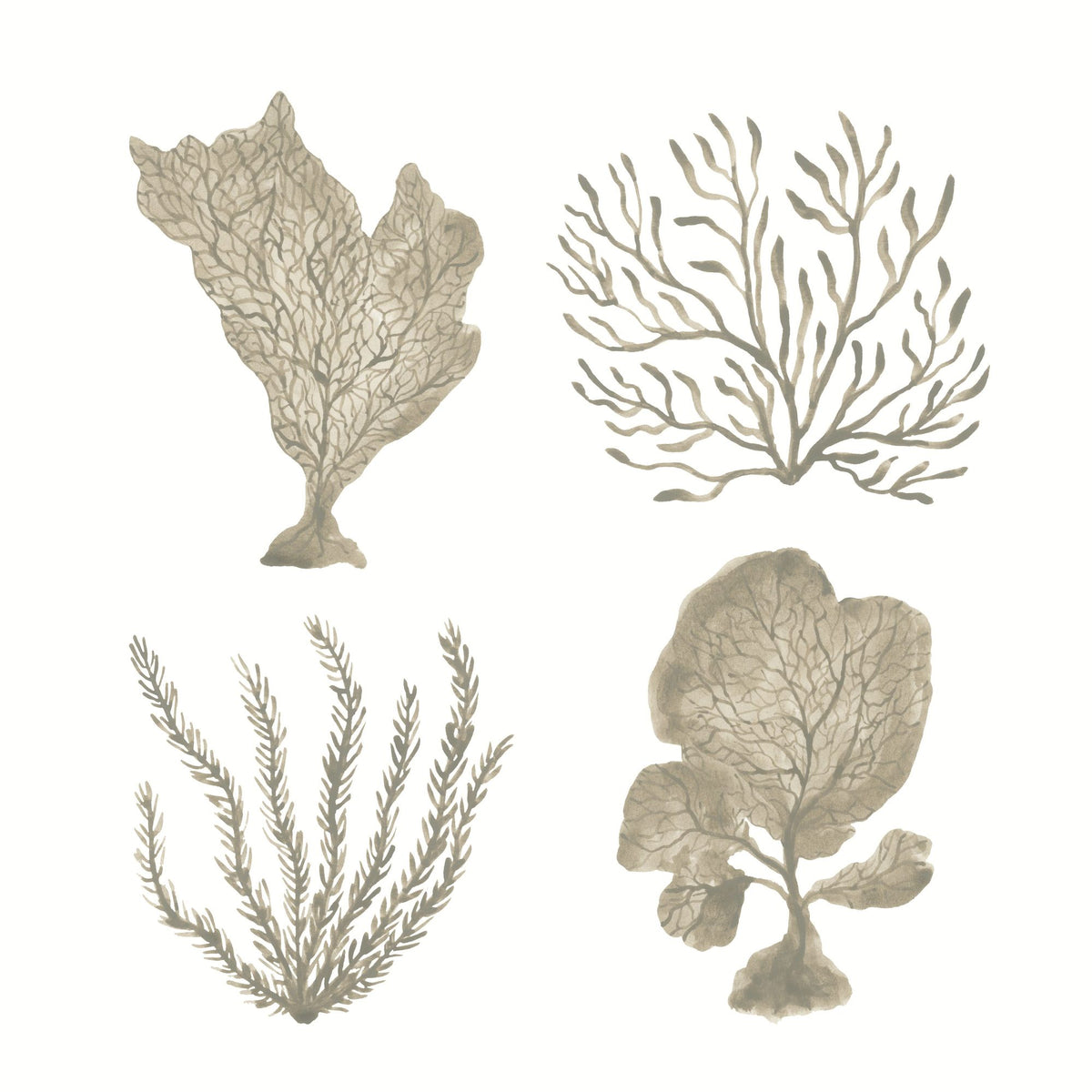 Coastal Reef X Mural Wallpaper - pure wallpaper artwork