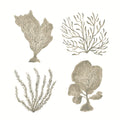 Coastal Reef X Mural Wallpaper - pure wallpaper artwork