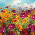 Cosmos in the Field Mural Wallpaper - pure wallpaper artwork