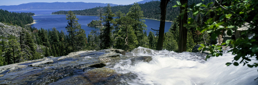 Cascading Wilderness Mural Wallpaper