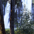 Sunlit Cascade Mural Wallpaper - pure wallpaper artwork