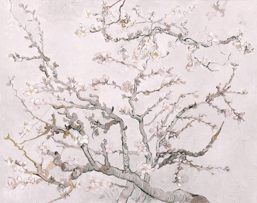 Almond Blossom, Petal Pink Mural Wallpaper