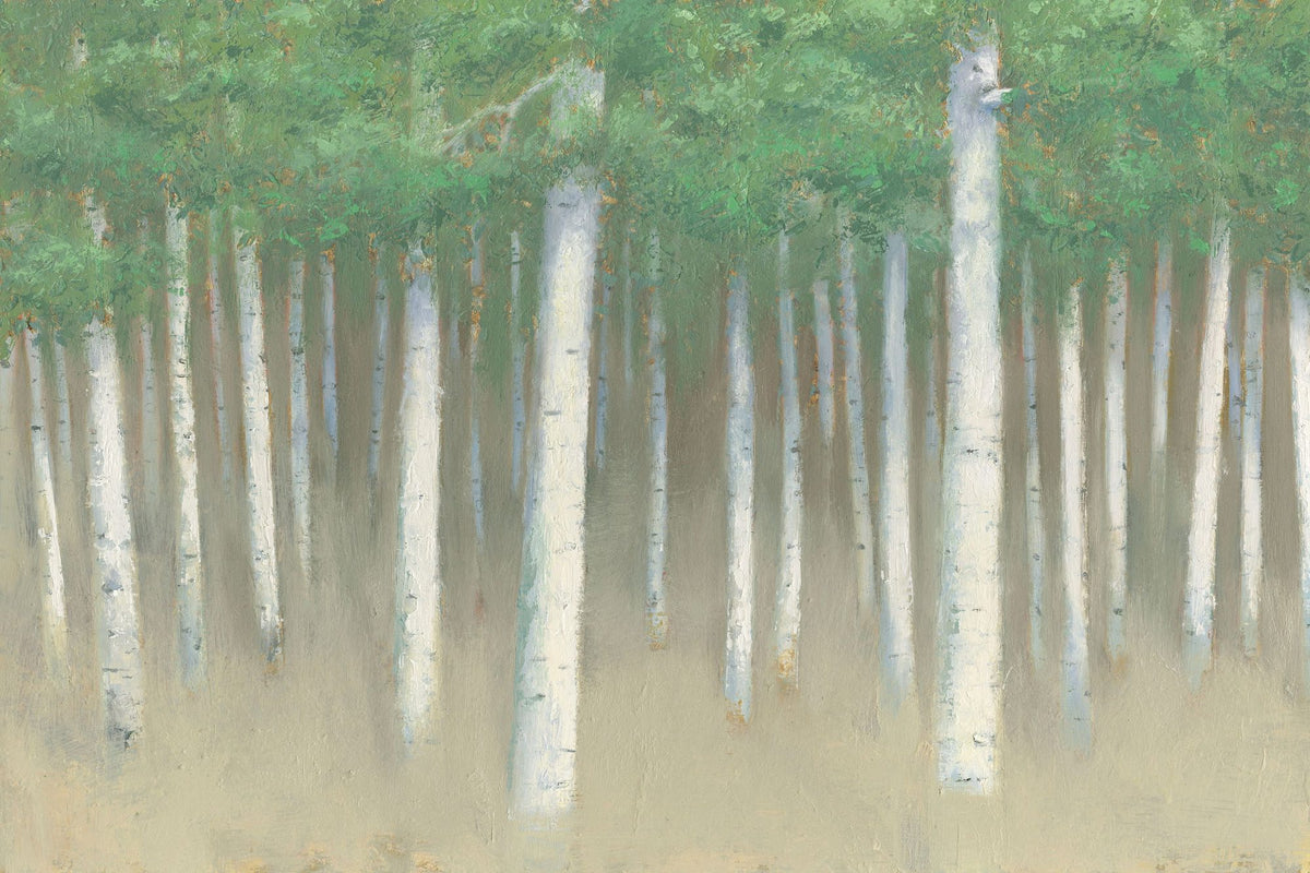 Summer Birch Mural Wallpaper - pure wallpaper artwork