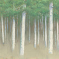 Summer Birch Mural Wallpaper - pure wallpaper artwork