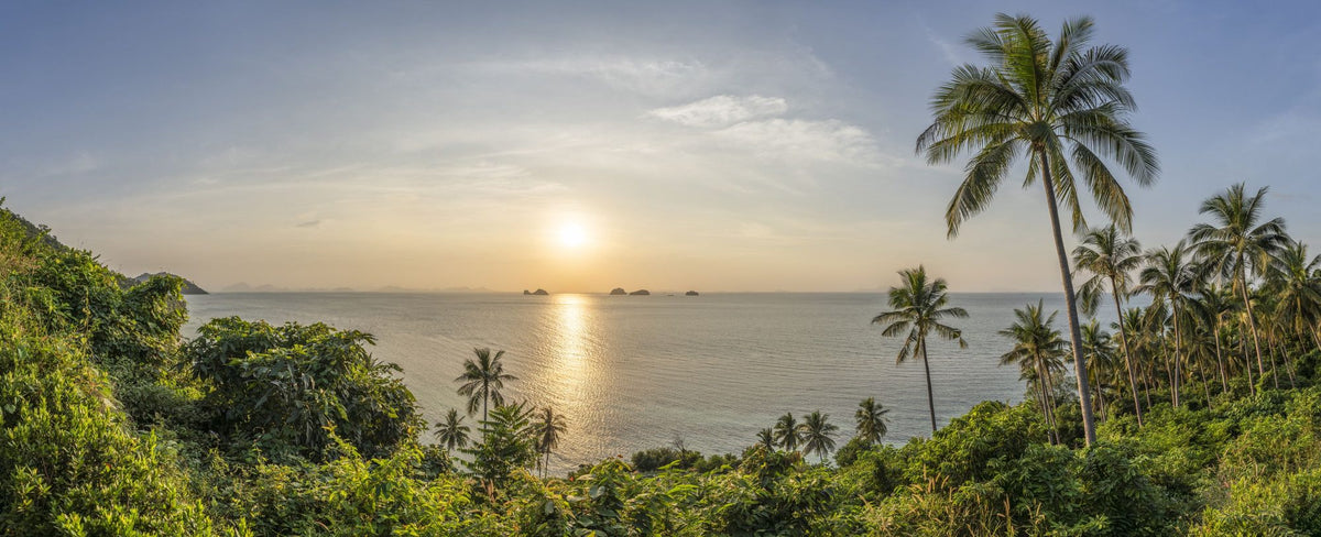 Golden Palm Shore Mural Wallpaper - pure wallpaper artwork