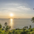 Golden Palm Shore Mural Wallpaper - pure wallpaper artwork