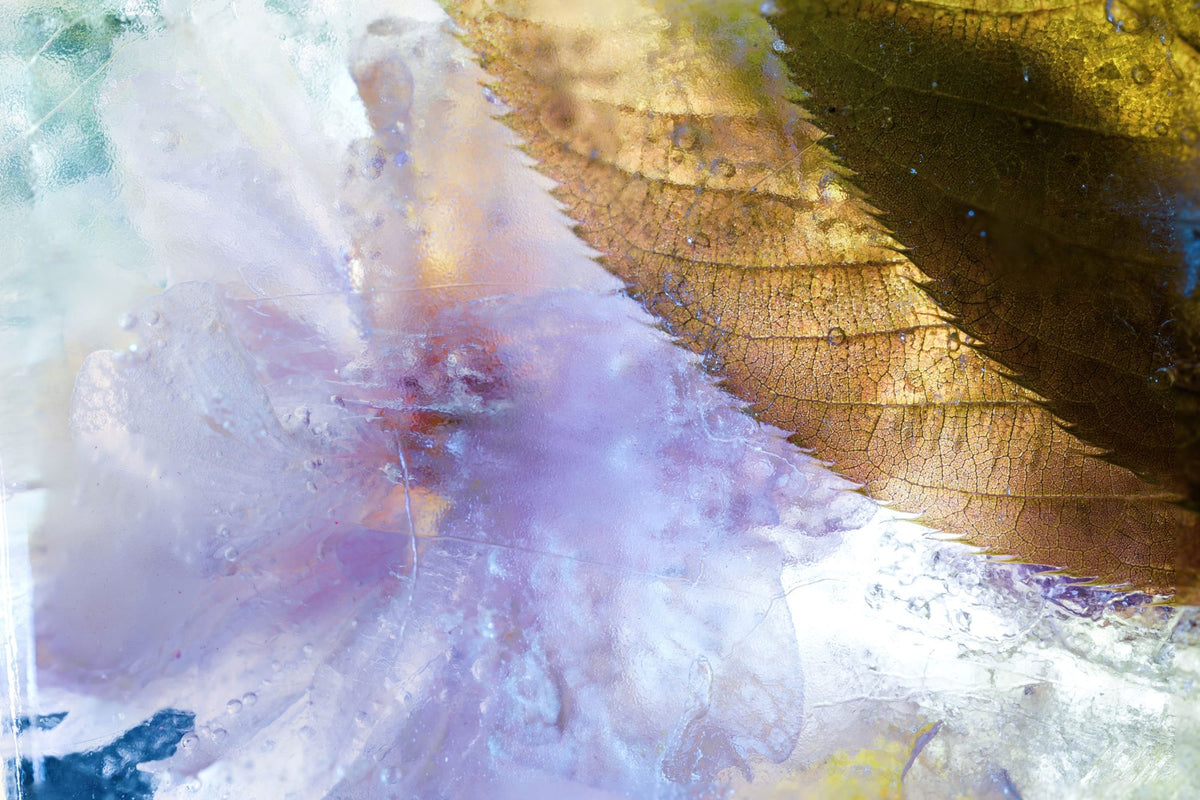 Glacial Leaf Mural Wallpaper - pure wallpaper artwork