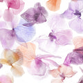 Dancing Orchids Mural Wallpaper - pure wallpaper artwork