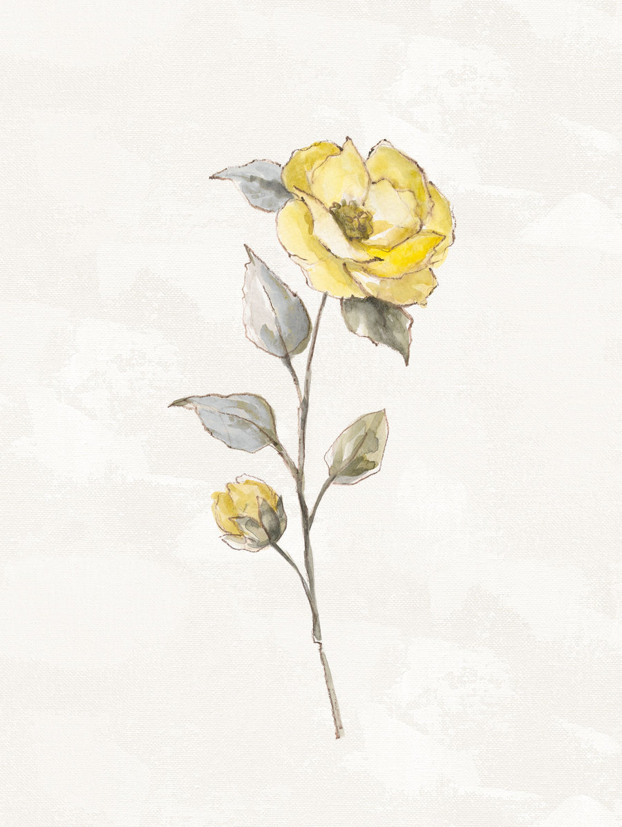 Sunny Roses Flower I Mural Wallpaper
