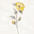 Sunny Roses Flower I Mural Wallpaper - pure wallpaper artwork