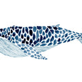 Humpback Whale Mural Wallpaper - pure wallpaper artwork