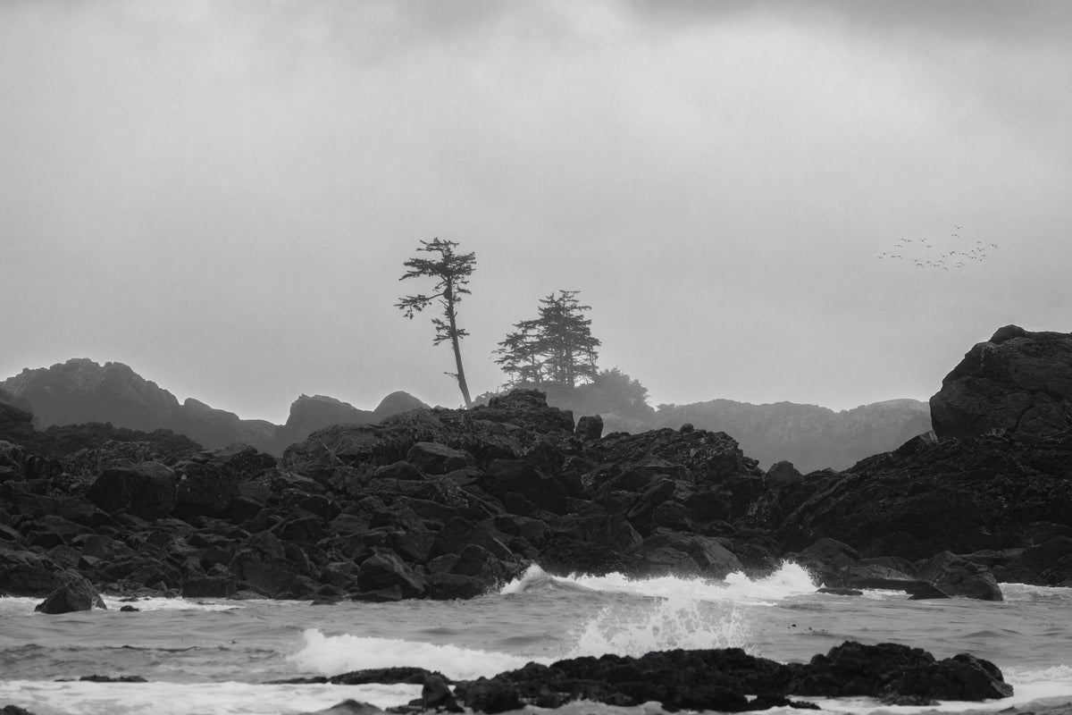 Black Rock Coast I Mural Wallpaper - pure wallpaper artwork