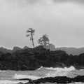 Black Rock Coast I Mural Wallpaper - pure wallpaper artwork