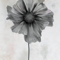Wonderful Wildflowers II Neutral Mural Wallpaper - pure wallpaper artwork