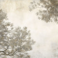 Tree Crowns Mural Wallpaper - pure wallpaper artwork