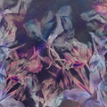 Tulips Feast, Purple Mural Wallpaper - pure wallpaper artwork