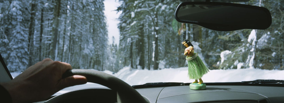 Winter Drive Companion Mural Wallpaper - pure wallpaper artwork
