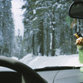 Winter Drive Companion Mural Wallpaper - pure wallpaper artwork