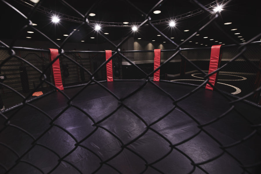 Mixed Martial Arts Mural Wallpaper
