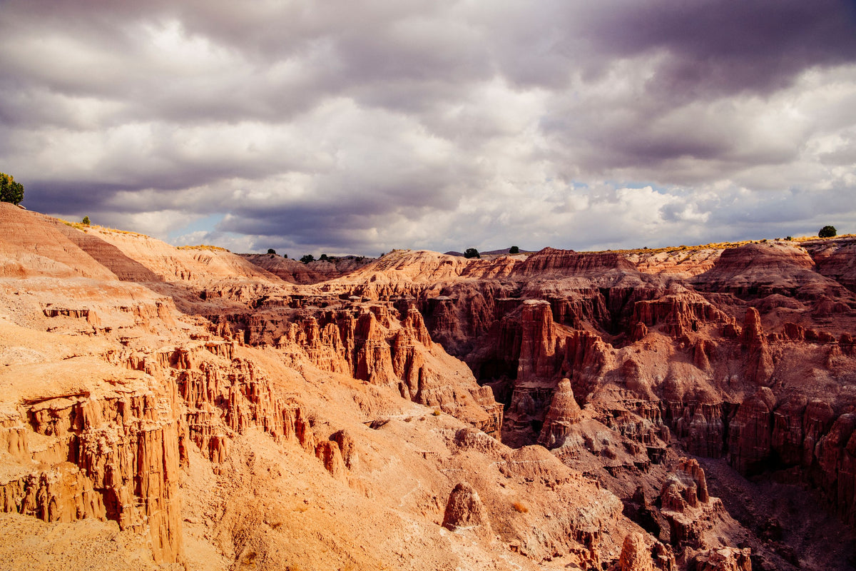 Nevada Trails Mural Wallpaper - pure wallpaper artwork